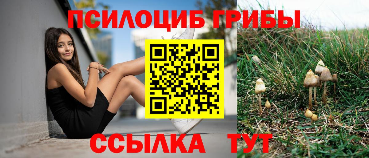 Галлюциногенные грибы мухоморы Ейск